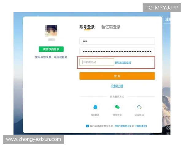 安全登录尊龙会员账号，保障个人信息安全的实用技巧
