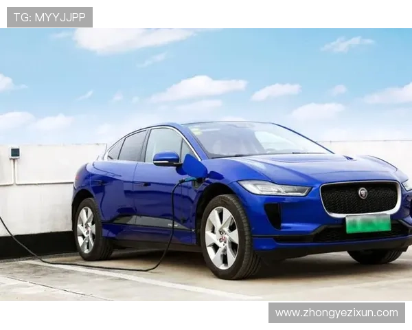 捷豹娱乐提供专业的娱乐内容策划，助力娱乐产业的持续发展与创新