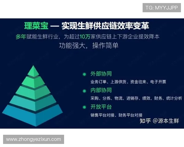 奥林匹克娱乐城安全保障:保障玩家权益的安全措施与信誉保障分析 奥林匹克娱乐城安全保障:保障玩家权益的安全措施与信誉保障分析